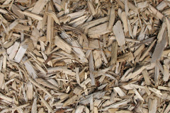biomass boilers Marthall